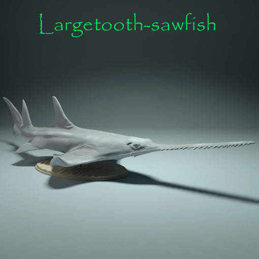 Largetooth sawfish