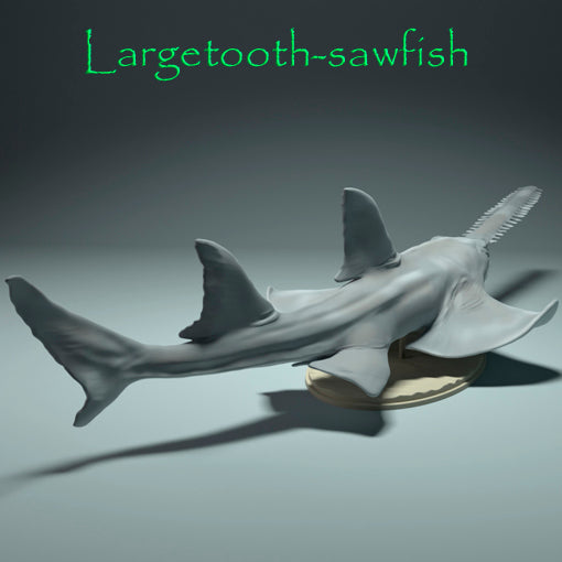 Largetooth sawfish