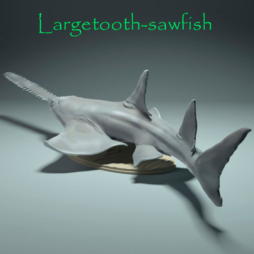 Largetooth sawfish