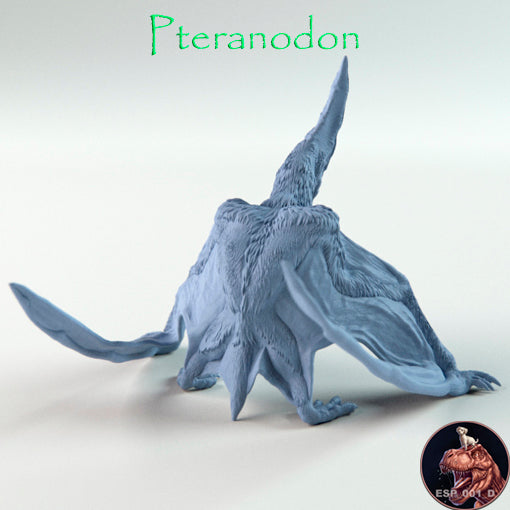 Pteranodon