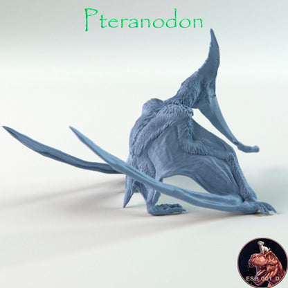 Pteranodon