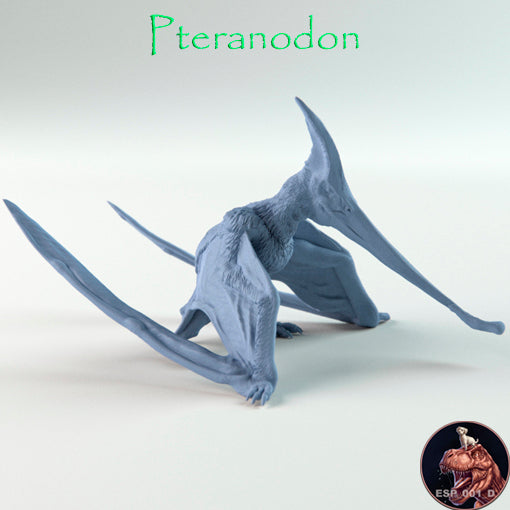 Pteranodon