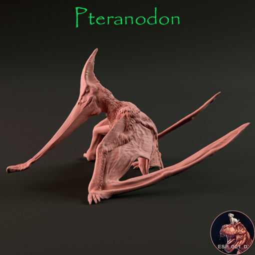 How Did Pteranodon Walk?