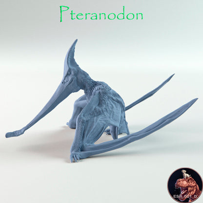 Pteranodon