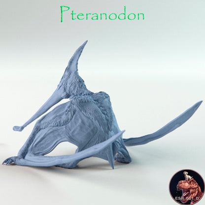 Pteranodon