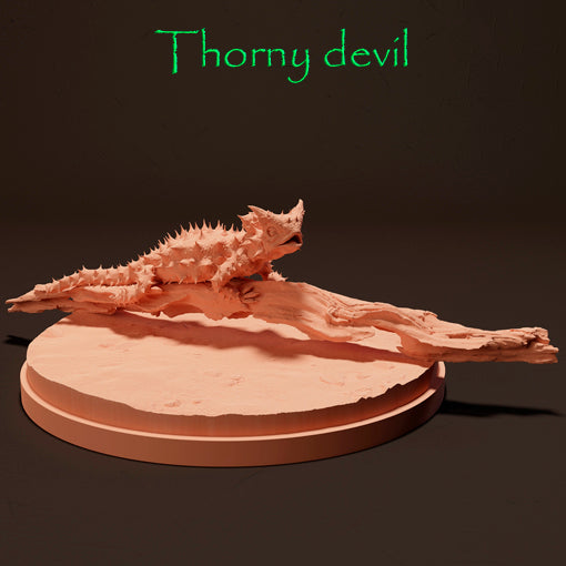 Thorny devil