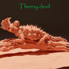 Thorny devil