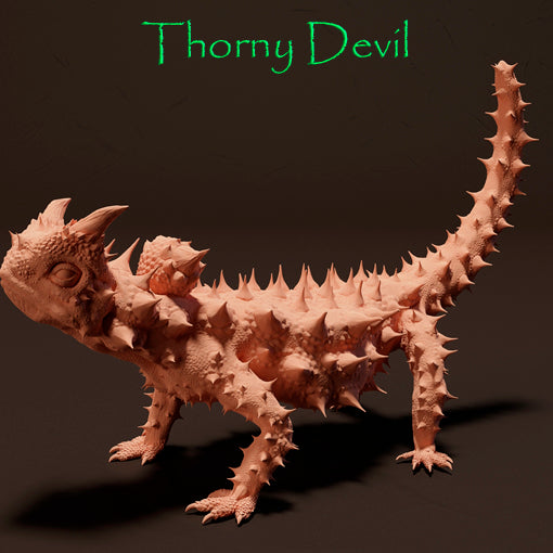 Thorny devil