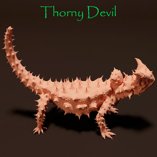 Thorny devil