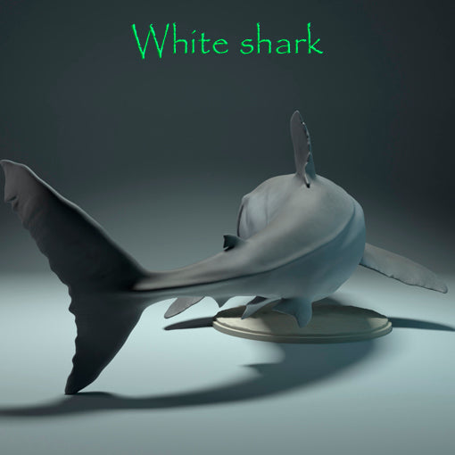 White shark