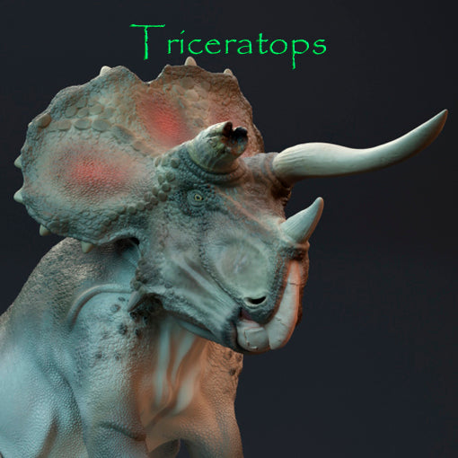 Triceratops