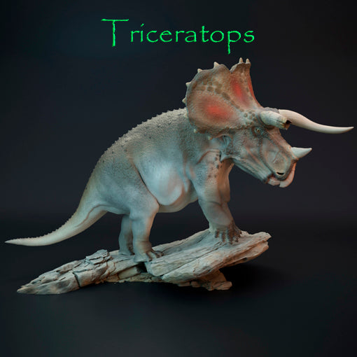 Triceratops