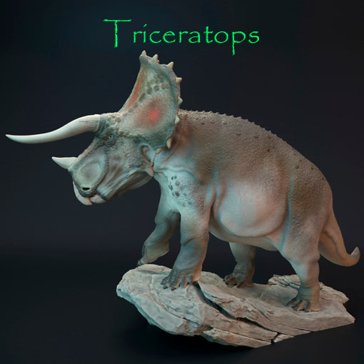 Triceratops