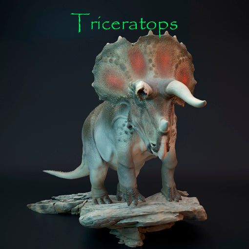 Triceratops