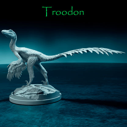 Troodon Body Troodon – Dinosauria Creatures