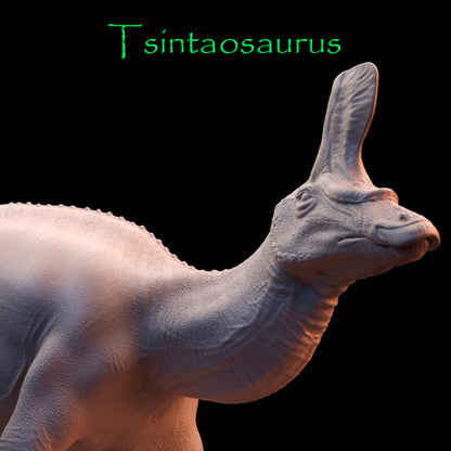 Tsintaosaurus