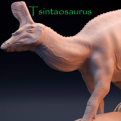 Tsintaosaurus