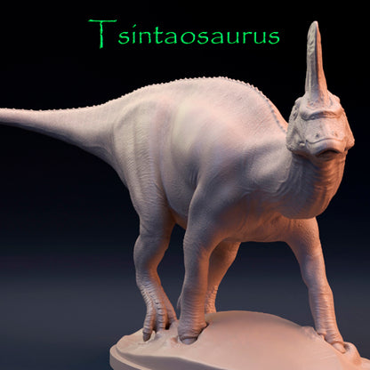 Tsintaosaurus