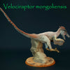 Velociraptor mongoliensis