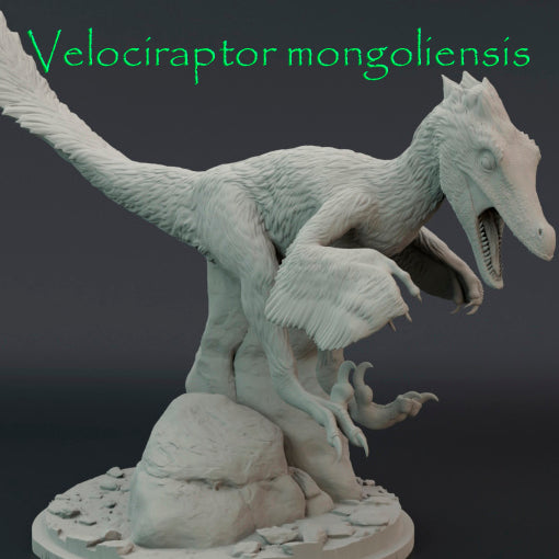 Velociraptor mongoliensis