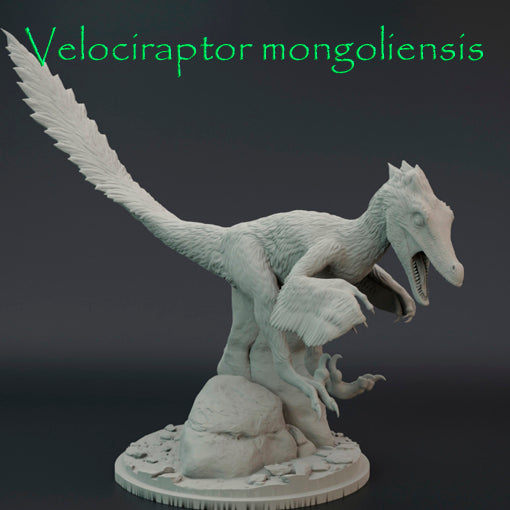 Velociraptor mongoliensis