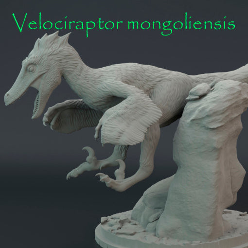 Velociraptor mongoliensis