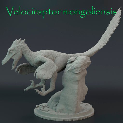 Velociraptor mongoliensis