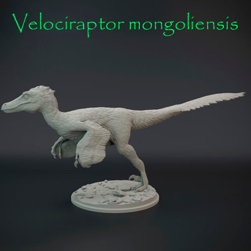 Velociraptor mongoliensis