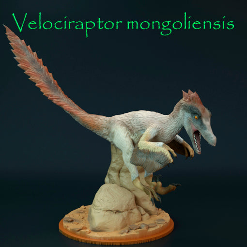 Velociraptor mongoliensis